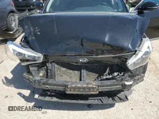 2016 Kia Cadenza Premium with VIN KNALN4D70G5209651, listed as a Copart auction lot 52408295 with 116,993 mi miles and Salvage Title. Bid and sale history available at carsss.com. Image 12.