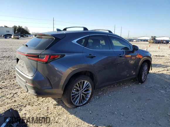 2023 Lexus NX 350h Luxury with VIN 2T2HKCEZ5PC014073, listed as a Copart auction lot 43215295 with Not Provided miles and Salvage Title. Bid and sale history available at DreamBid. Image 3.