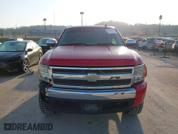 2008 Chevrolet Silverado 1500 Work Truck with VIN 1GCEK14C88Z136619, listed as a IAAI auction lot 41769536 with 201,884 mi miles. Bid and sale history available at carsss.com. Image 12.