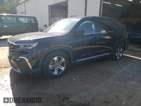 2025 Honda Pilot EX-L with VIN 5FNYG1H42SB007113, listed as a Copart auction lot 66606594 with 816 mi miles and Salvage Title. Bid and sale history available at carsss.com. Image 1.