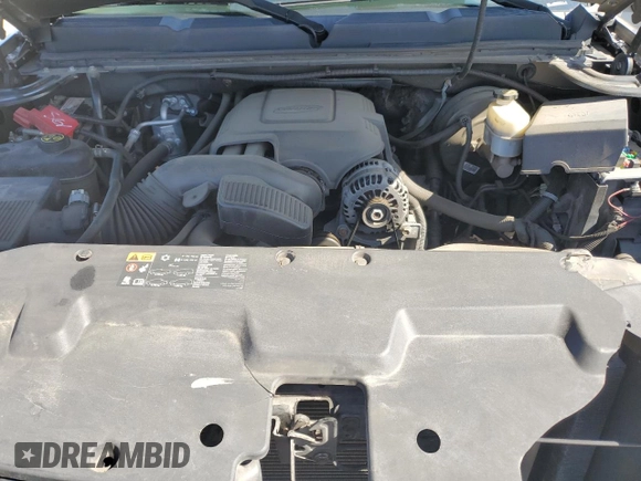 2013 Chevrolet Silverado 1500 LT with VIN 3GCPKSE73DG138532, listed as a Copart auction lot 49651805 with 166,030 mi miles and Salvage Title. Bid and sale history available at DreamBid. Image 12.