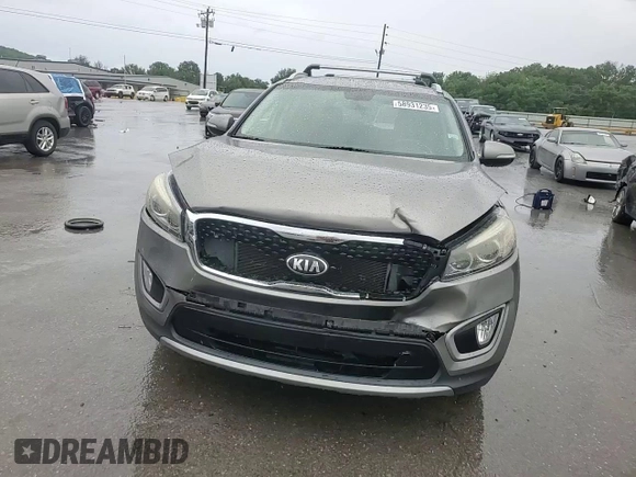 2016 Kia Sorento EX with VIN 5XYPH4A5XGG127299, listed as a Copart auction lot 58931235 with 113,561 mi miles and Salvage title. Bid and sale history available at DreamBid. Image 14.
