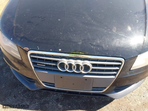 2010 Audi A4 2.0T Premium Plus with VIN WAUFFAFL7AN031716, listed as a IAAI auction lot 41851396 with 206,960 mi miles. Bid and sale history available at carsss.com. Image 6.
