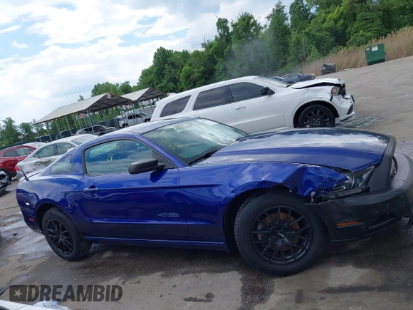 2013 Ford Mustang V6 with VIN 1ZVBP8AM7D5228491, listed as a IAAI auction lot 42209129 with 146,461 mi miles and . Bid and sale history available at DreamBid. Image 13.