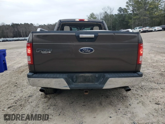 2017 Ford F-150 XL with VIN 1FTEX1CF9HFA63727, listed as a Copart auction lot 47965765 with 114,545 mi miles and Salvage Title. Bid and sale history available at carsss.com. Image 6.