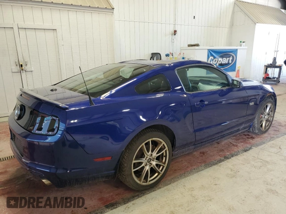 2014 Ford Mustang GT with VIN 1ZVBP8CF4E5245006, listed as a Copart auction lot 56362415 with 68,423 mi miles and Salvage title. Bid and sale history available at DreamBid. Image 3.