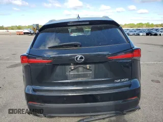 2019 Lexus NX 300 with VIN JTJBARBZ3K2203877, listed as a Copart auction lot 57160035 with 46,238 mi miles and Salvage title. Bid and sale history available at DreamBid. Image 6.