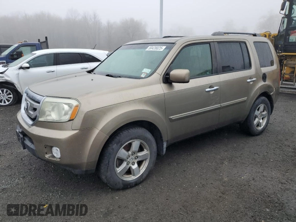 2009 Honda Pilot EX-L with VIN 5FNYF48509B027772, listed as a Copart auction lot 50428025 with 167,213 mi miles and Clean Title. Bid and sale history available at carsss.com. Image 1.