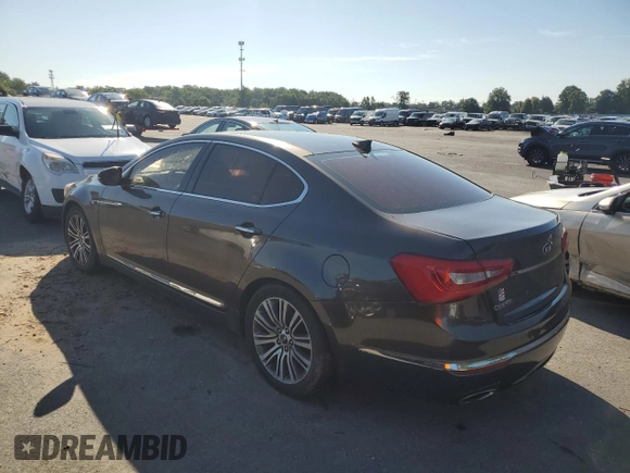 2014 Kia Cadenza Premium with VIN KNALN4D71E5133791, listed as a Copart auction lot 66783294 with 0 mi miles and Salvage Title. Bid and sale history available at carsss.com. Image 2.