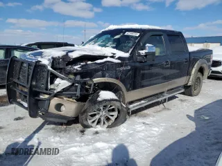 2013 Ford F-150 XL with VIN 1FTFW1EF8DFC09744, listed as a Copart auction lot 42146255 with 0 mi miles and Clean Title. Bid and sale history available at carsss.com. Image 1.