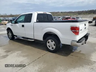 2013 Ford F-150 XL with VIN 1FTEX1CM4DFC81650, listed as a Copart auction lot 52021375 with 172,413 mi miles and Salvage title. Bid and sale history available at DreamBid. Image 2.