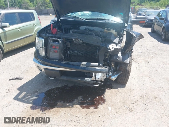 2011 Ford F-150 XL with VIN 1FTFX1EF4BFA98684, listed as a IAAI auction lot 42561624 with 163,066 mi miles and . Bid and sale history available at DreamBid. Image 6.