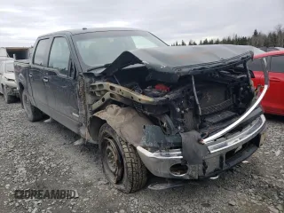 2013 Ford F-150 with VIN 2ATE01102DKD97632, listed as a Copart auction lot 49815235 with Not provided miles and Salvage title. Bid and sale history available at DreamBid. Image 4.