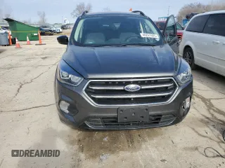 2019 Ford Escape SE with VIN 1FMCU0GDXKUA46873, listed as a Copart auction lot 44201505 with 123,631 mi miles and Salvage Title. Bid and sale history available at carsss.com. Image 5.