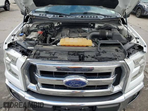 2017 Ford F-150 XL with VIN 1FTEX1EP9HKC44209, listed as a Copart auction lot 49645355 with 136,400 mi miles and Salvage Title. Bid and sale history available at carsss.com. Image 11.