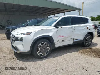 2023 Hyundai Santa Fe Limited with VIN 5NMS4DAL2PH517081, listed as a Copart auction lot 54197505 with 53,584 mi miles and Salvage Title. Bid and sale history available at DreamBid. Image 1.