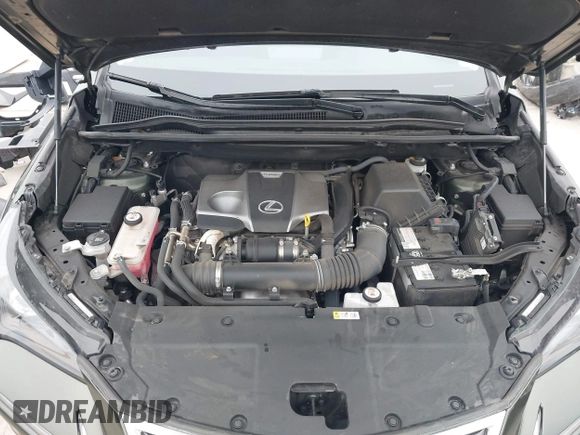 2021 Lexus NX with VIN JTJDARDZ7M2241119, listed as a IAAI auction lot 41188266 with 48,701 mi miles. Bid and sale history available at carsss.com. Image 10.