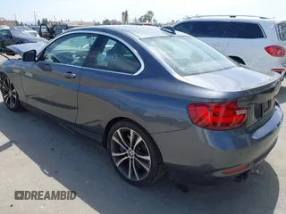 2016 BMW 2 Series 228i with VIN WBA1F9C57GV544455, listed as a IAAI auction lot 42268534 with 96,942 mi miles and . Bid and sale history available at DreamBid. Image 3.