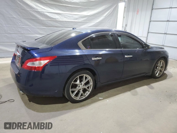 2010 Nissan Maxima SV with VIN 1N4AA5AP3AC846607, listed as a Copart auction lot 57780895 with 149,139 mi miles and Salvage title. Bid and sale history available at DreamBid. Image 3.