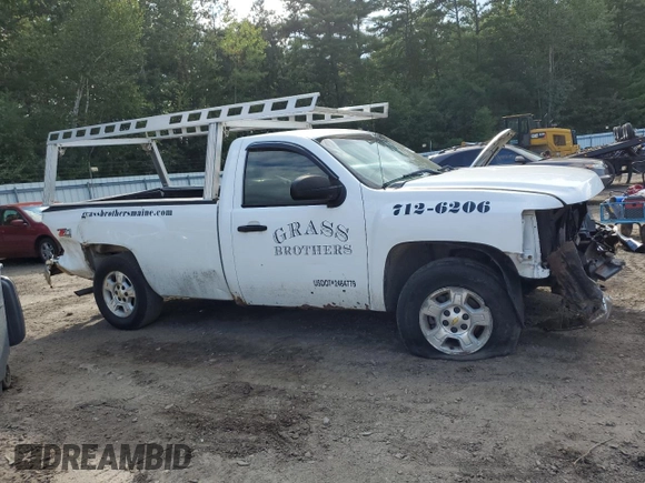 2009 Chevrolet Silverado 1500 with VIN 1GCEK24J89Z150770, listed as a Copart auction lot 66755994 with 240,924 mi miles and Salvage Title. Bid and sale history available at DreamBid. Image 4.