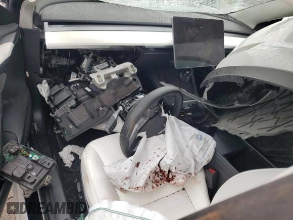 2022 Tesla Model 3 z VIN 5YJ3E1EA8NF244865, wystawiony jako Copart lot #55698465 z przebiegiem Nie podano mil oraz Szkoda całkowita • Salvage title. Historia ofert i sprzedaży dostępna na DreamBid. Obrazek 8.