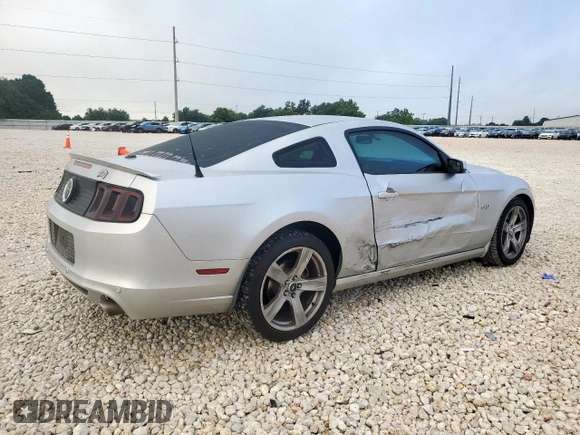 2013 Ford Mustang GT with VIN 1ZVBP8CF2D5215937, listed as a Copart auction lot 61425015 with Not provided miles and Salvage title. Bid and sale history available at DreamBid. Image 3.