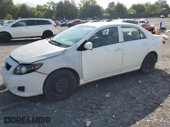 2010 Toyota Corolla with VIN 2T1BU4EE2AC236326, listed as a Copart auction lot 62461195 with 215,106 mi miles and Salvage title. Bid and sale history available at DreamBid. Image 1.