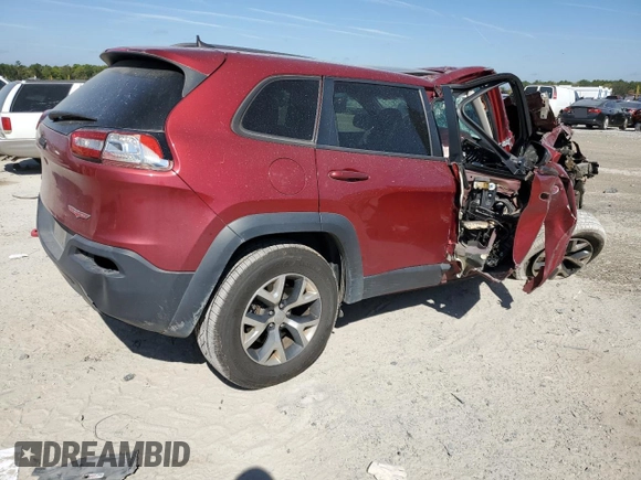2016 Jeep Cherokee Trailhawk with VIN 1C4PJMBS0GW277367, listed as a Copart auction lot 49656155 with Not Provided miles and Salvage Title. Bid and sale history available at DreamBid. Image 3.