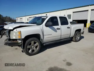 2009 Chevrolet Silverado 1500 LS with VIN 3GCEC13C49G117064, listed as a Copart auction lot 87975735 with 268,101 mi miles and Salvage Title. Bid and sale history available at DreamBid. Image 1.