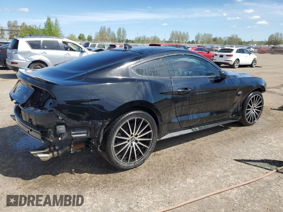 2023 Ford Mustang GT with VIN 1FA6P8CF9P5305892, listed as a Copart auction lot 57672435 with 45,065 mi miles and Salvage title. Bid and sale history available at DreamBid. Image 3.