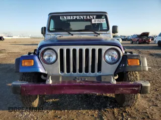 2003 Jeep Wrangler Sport with VIN 1J4FA49S03P313901, listed as a Copart auction lot 46100245 with 61,335 mi miles and Clean Title. Bid and sale history available at carsss.com. Image 5.