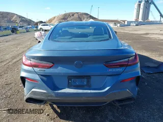 2019 BMW 8 Series M850i xDrive with VIN WBABC4C54KBU96780, listed as a IAAI auction lot 41015686 with 15,451 mi miles and . Bid and sale history available at DreamBid. Image 16.