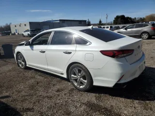 2019 Hyundai Sonata Sport with VIN 5NPE34AF3KH747637, listed as a Copart auction lot 48707865 with 189,257 mi miles and Salvage Title. Bid and sale history available at carsss.com. Image 2.