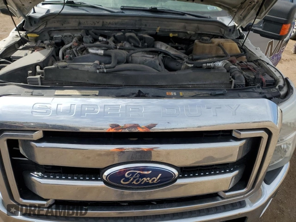 2011 Ford Super Duty F-250 SRW XL with VIN 1FT7W2BT5BEC94274, listed as a Copart auction lot 52419225 with 317,079 mi miles and Salvage Title. Bid and sale history available at carsss.com. Image 11.