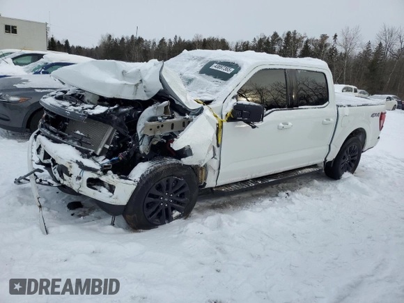 2024 Ford F-150 XLT with VIN 1FTEW3LP7RFB99251, listed as a Copart auction lot 43897365 with 3,595 mi miles and Salvage Title. Bid and sale history available at carsss.com. Image 1.