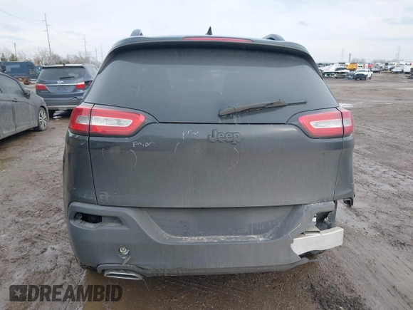 2017 Jeep Cherokee Altitude with VIN 1C4PJLAS7HW610189, listed as a IAAI auction lot 41670339 with 116,556 mi miles and . Bid and sale history available at DreamBid. Image 16.
