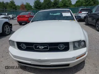 2006 Ford Mustang Standard с VIN 1ZVHT84N765251072, выставлен на аукционе IAAI как лот 42291994 с пробегом 283 553 миль миль и . История ставок и продаж доступна на DreamBid. Изображение 6.
