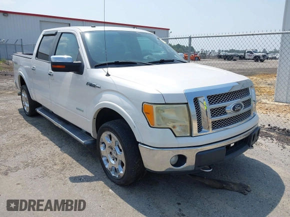2012 Ford F-150 XL with VIN 1FTFW1ET5CFB18919, listed as a IAAI auction lot 42592380 with 204,469 mi miles and . Bid and sale history available at DreamBid. Image 1.