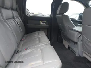 2011 Ford F-150 XL with VIN 1FTEW1CM4BFD22228, listed as a IAAI auction lot 42462810 with 123,674 mi miles and . Bid and sale history available at DreamBid. Image 8.