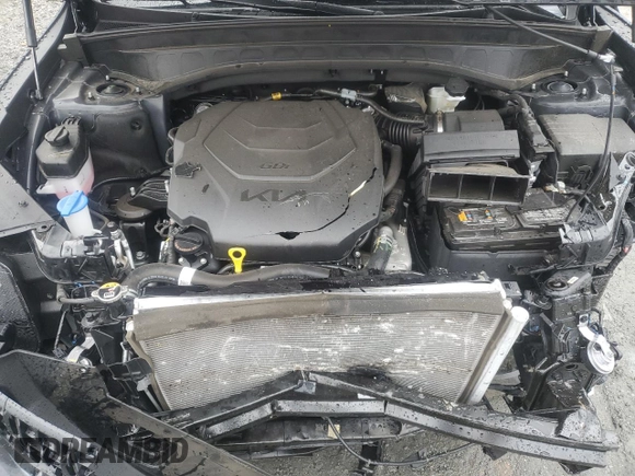 2024 Kia Telluride EX with VIN 5XYP34GCXRG469228, listed as a Copart auction lot 81330844 with 15,442 mi miles and Salvage Title. Bid and sale history available at DreamBid. Image 11.