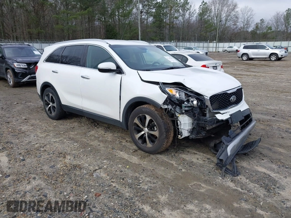 2017 Kia Sorento EX with VIN 5XYPH4A13HG294599, listed as a IAAI auction lot 41207089 with 41,642 mi miles and . Bid and sale history available at DreamBid. Image 1.