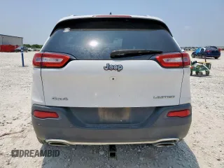 2016 Jeep Cherokee Limited with VIN 1C4PJMDS4GW249150, listed as a Copart auction lot 58017975 with 109,953 mi miles and Salvage title. Bid and sale history available at DreamBid. Image 6.