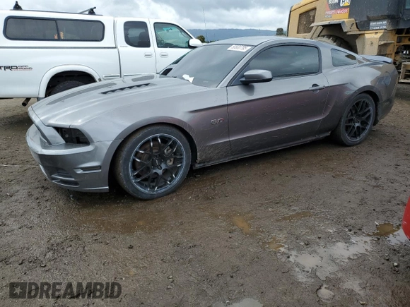 2013 Ford Mustang GT with VIN 1ZVBP8CF2D5284482, listed as a Copart auction lot 50600795 with 97,731 mi miles and Salvage Title. Bid and sale history available at carsss.com. Image 1.