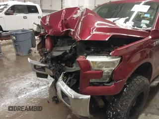 2017 Ford F-150 XL with VIN 1FTFX1EF2HFB15796, listed as a IAAI auction lot 41331268 with 135,179 mi miles. Bid and sale history available at carsss.com. Image 6.