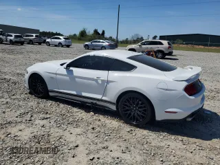 2019 Ford Mustang GT with VIN 1FA6P8CF0K5166163, listed as a Copart auction lot 51006725 with 34,748 mi miles and Salvage title. Bid and sale history available at DreamBid. Image 2.