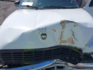 2000 Dodge Dakota z VIN 1B7GL22X1YS740359, wystawiony jako IAAI lot #42430964 z przebiegiem 213 435 mil mil oraz . Historia ofert i sprzedaży dostępna na DreamBid. Obrazek 10.