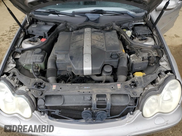 2003 Mercedes-Benz C 240 with VIN WDBRF61J73F423349, listed as a Copart auction lot 46162755 with 182,394 mi miles and Salvage title. Bid and sale history available at DreamBid. Image 11.