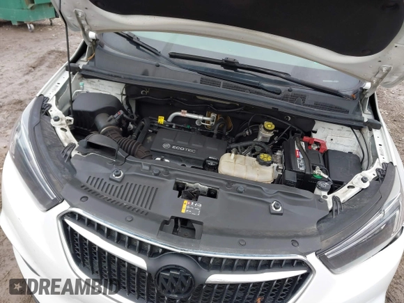 2019 Buick Encore Preferred with VIN KL4CJESB9KB953264, listed as a IAAI auction lot 41535277 with 101,000 mi miles. Bid and sale history available at carsss.com. Image 10.
