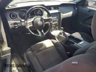 2013 Ford Mustang GT with VIN 1ZVBP8CF0D5224264, listed as a Copart auction lot 57143505 with 116,804 mi miles and Clean Title. Bid and sale history available at DreamBid. Image 8.