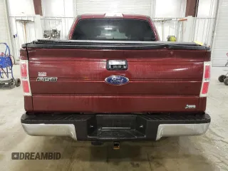 2010 Ford F-150 XL with VIN 1FTFW1EVXAKC19217, listed as a Copart auction lot 49967965 with 178,418 mi miles and Salvage Title. Bid and sale history available at carsss.com. Image 6.